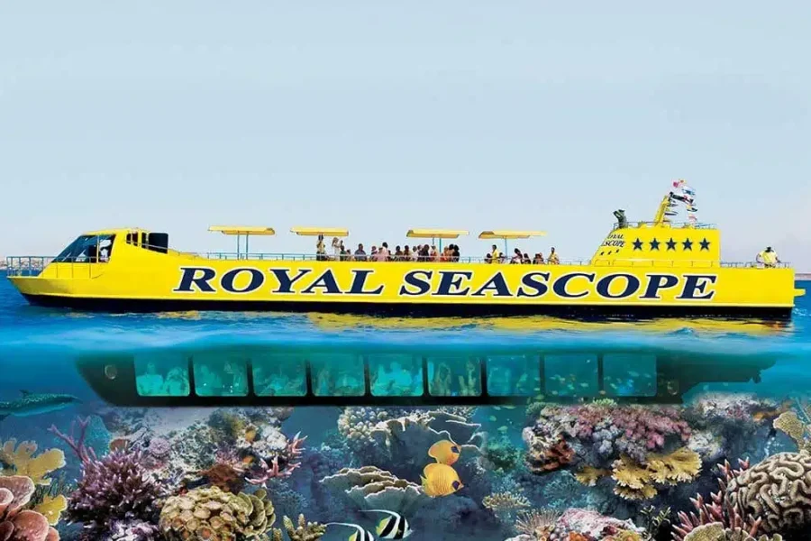 Dive into the Red Sea: Glass-Bottom Boat Adventure and Snorkeling