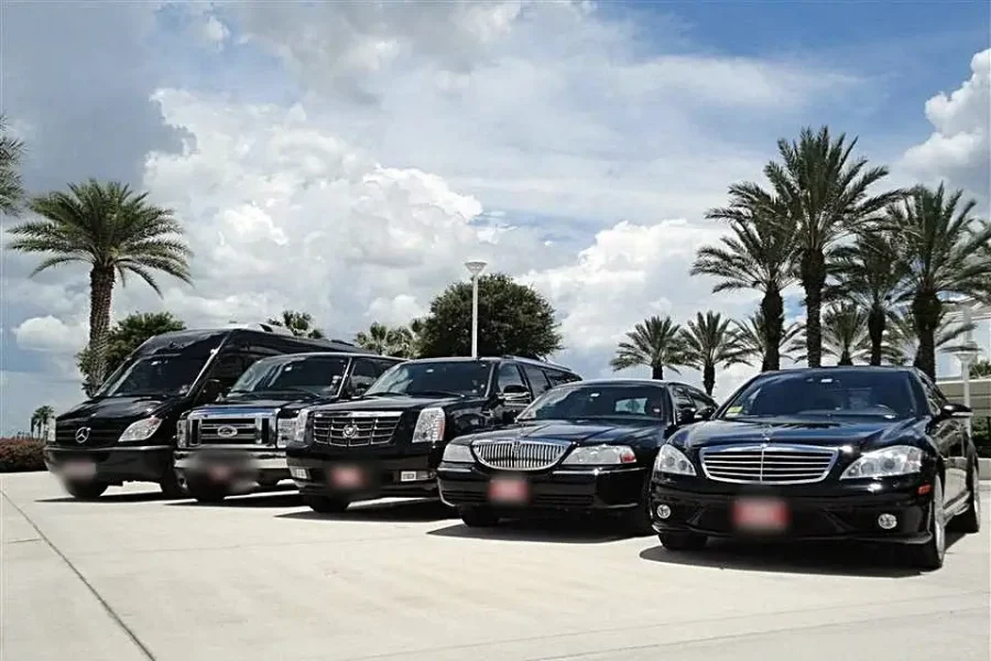 transfer From Airport to  El Qusiur 1-3 pax